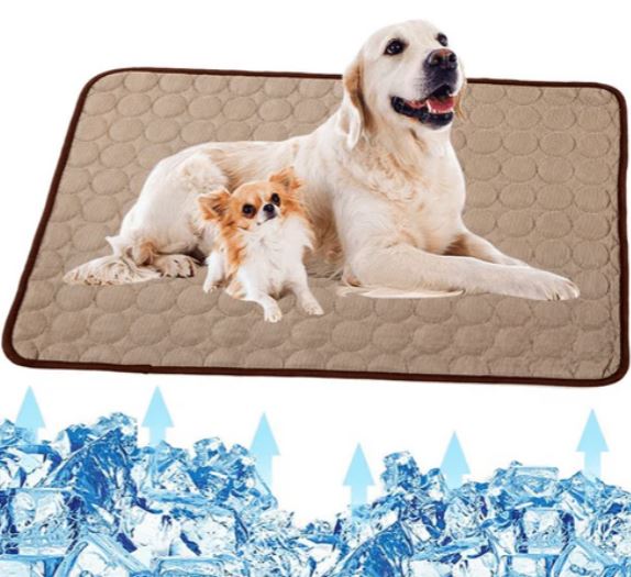 Cane grande e piccolo su tappetino rinfrescante per animali domestici, circondati da ghiaccio. Tappeto refrigerante per cani, comfort estivo.