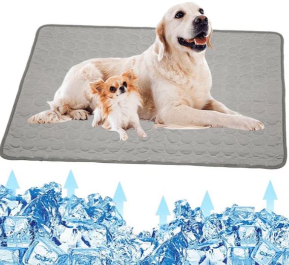 Due cani su tappetino rinfrescante grigio, con ghiaccio sotto. Tappetino refrigerante per animali domestici, comfort estivo, riduzione calore.