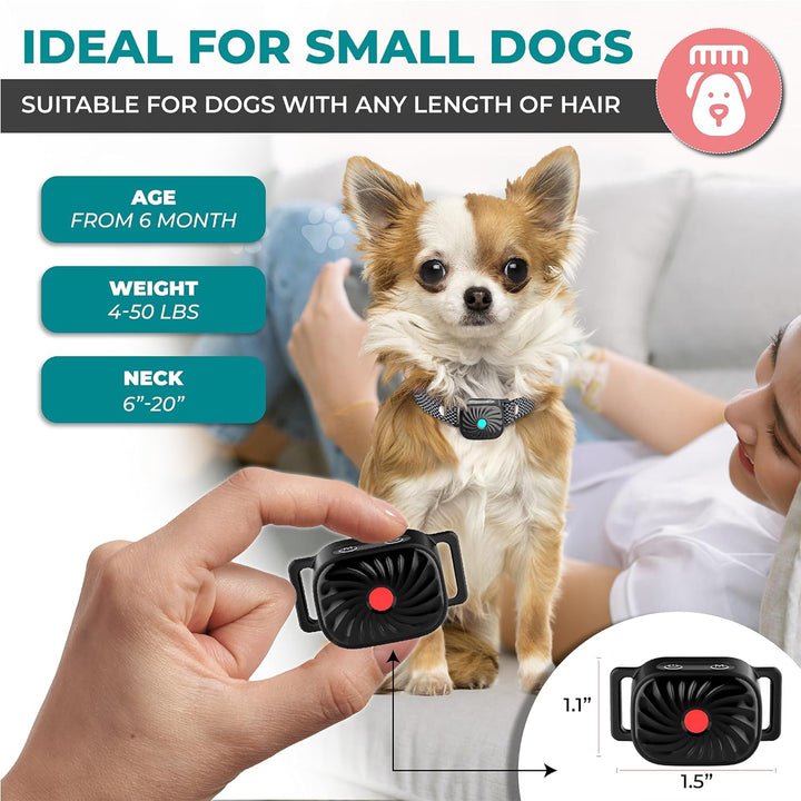 Collare antiabbaio per cani di piccola taglia, adatto da 6 mesi, peso 2-20 kg, circonferenza collo 15-50 cm. Design compatto, efficace per ogni tipo di pelo.