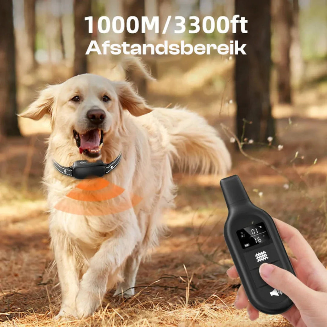 Collare Elettrico da Addestramento per Cani Impermeabile con Telecomando e 16 Livelli di Shock Regolabili 2