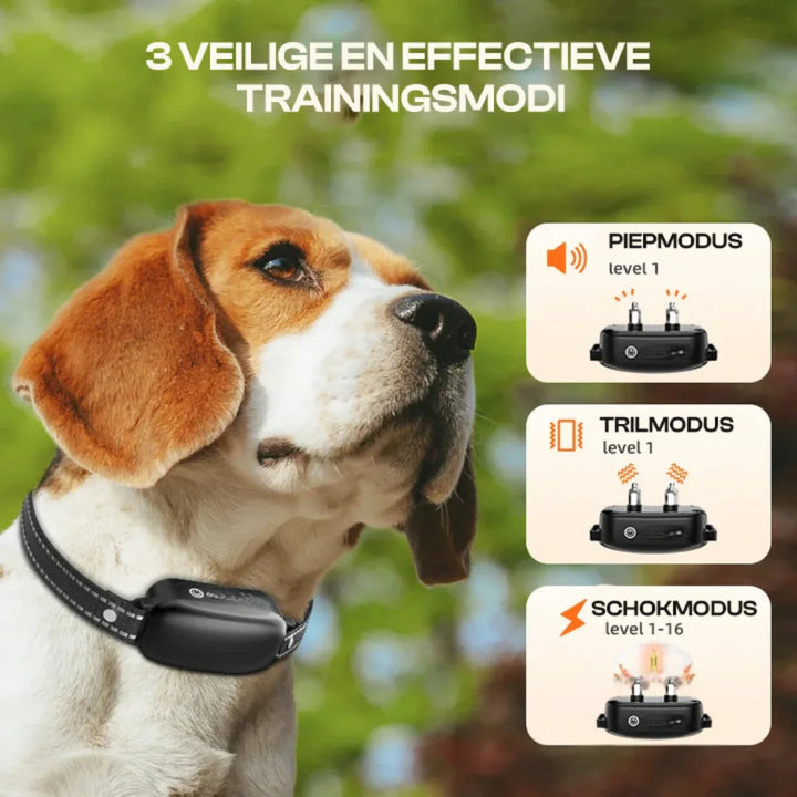 Collare Elettrico da Addestramento per Cani Impermeabile con Telecomando e 16 Livelli di Shock Regolabili 3