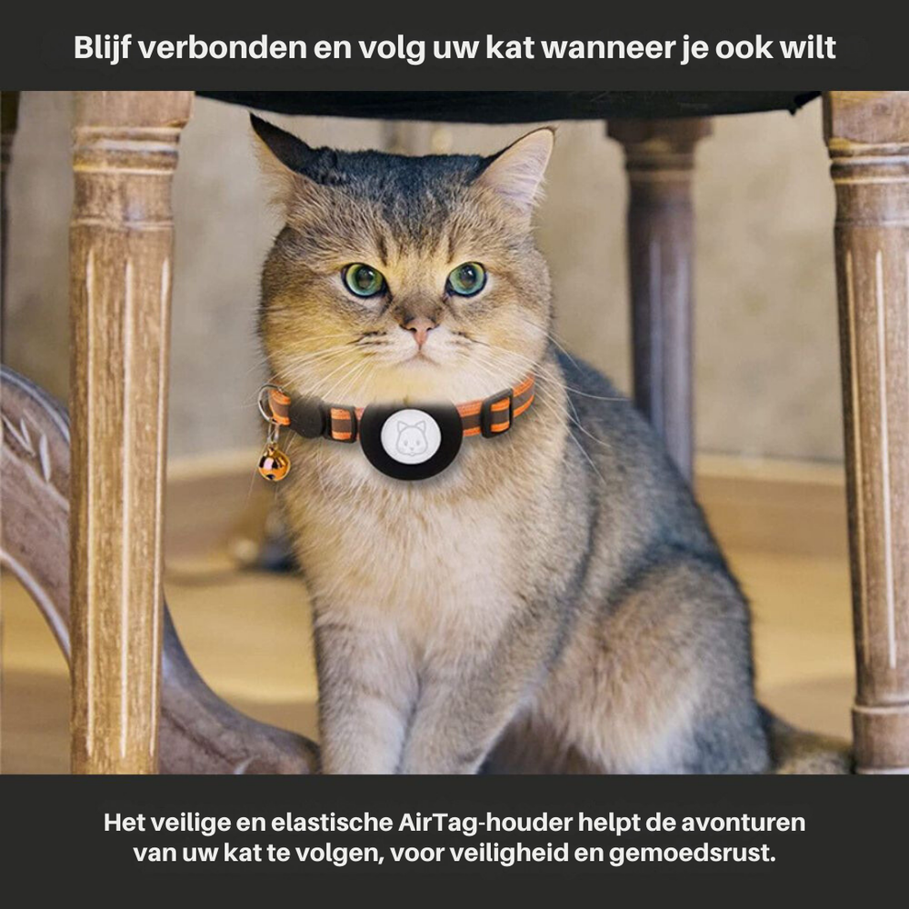 Collare GPS per Gatti con Design Riflettente e Chiusura a Sgancio Rapido – Sicurezza e Visibilità Notturna 2