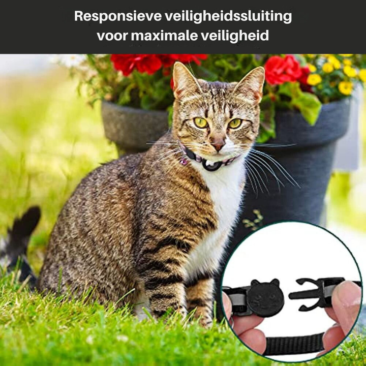 Collare GPS per Gatti con Design Riflettente e Chiusura a Sgancio Rapido – Sicurezza e Visibilità Notturna 4
