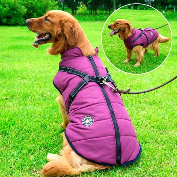 Giacca Estiva Impermeabile Cane Foderata in Pile Sherpa con Pettorina - Vesarelli