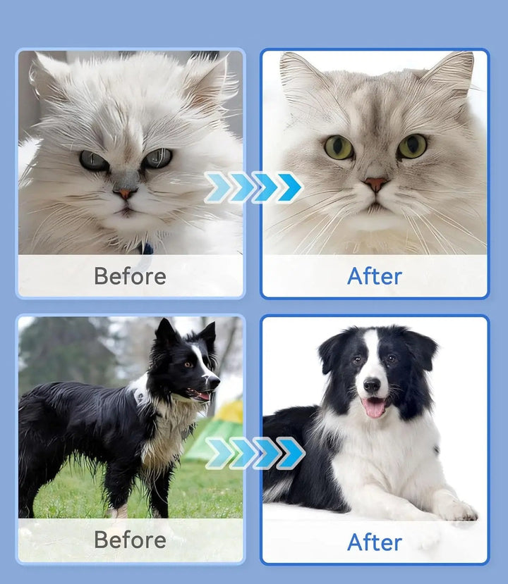 Guanti da bagno per animali domestici: salviette detergenti e deodoranti per cani e gatti, perfetto strumento per la toelettatura quotidiana degli animali domestici 1