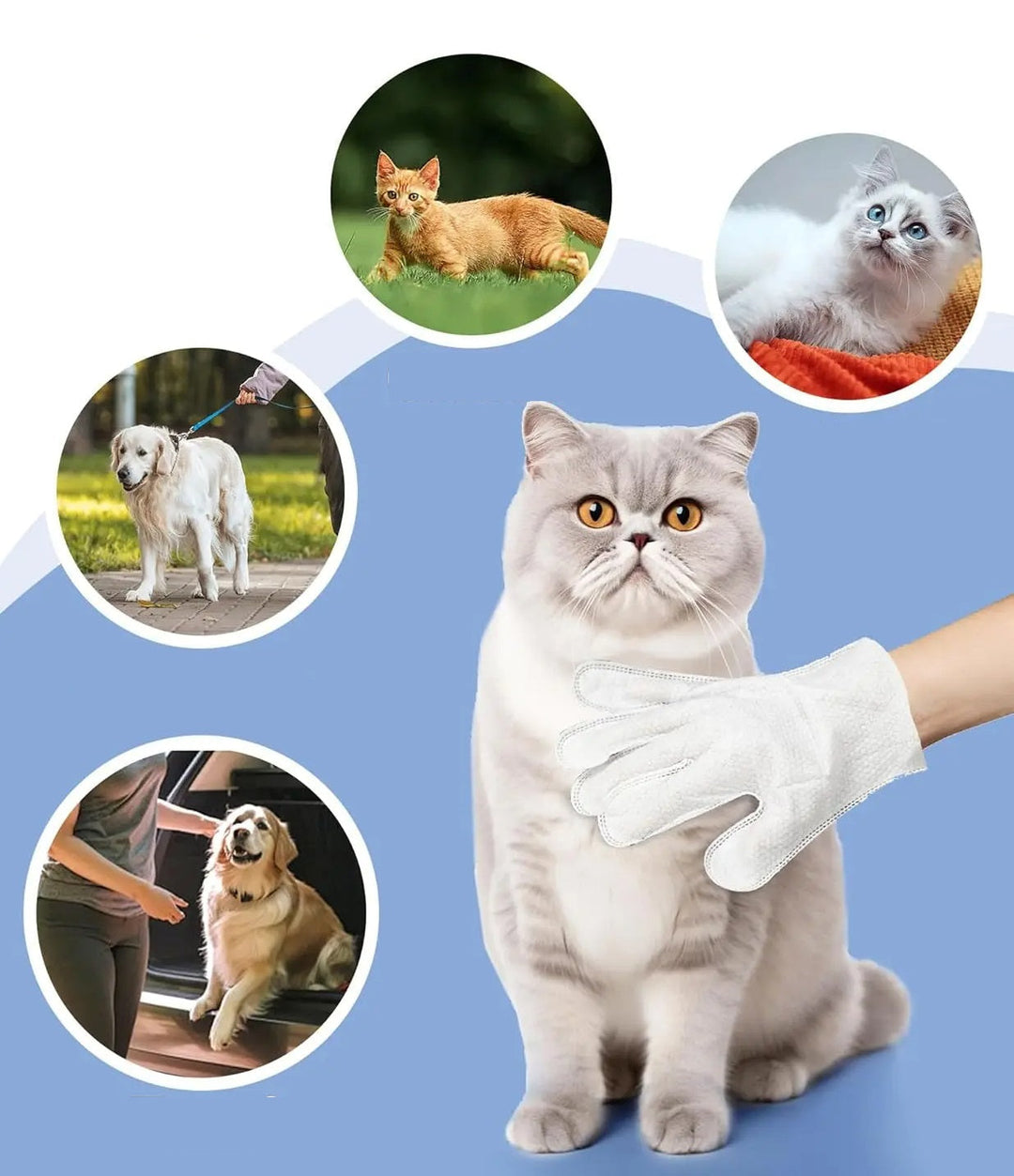 Guanti da bagno per animali domestici: salviette detergenti e deodoranti per cani e gatti, perfetto strumento per la toelettatura quotidiana degli animali domestici 3