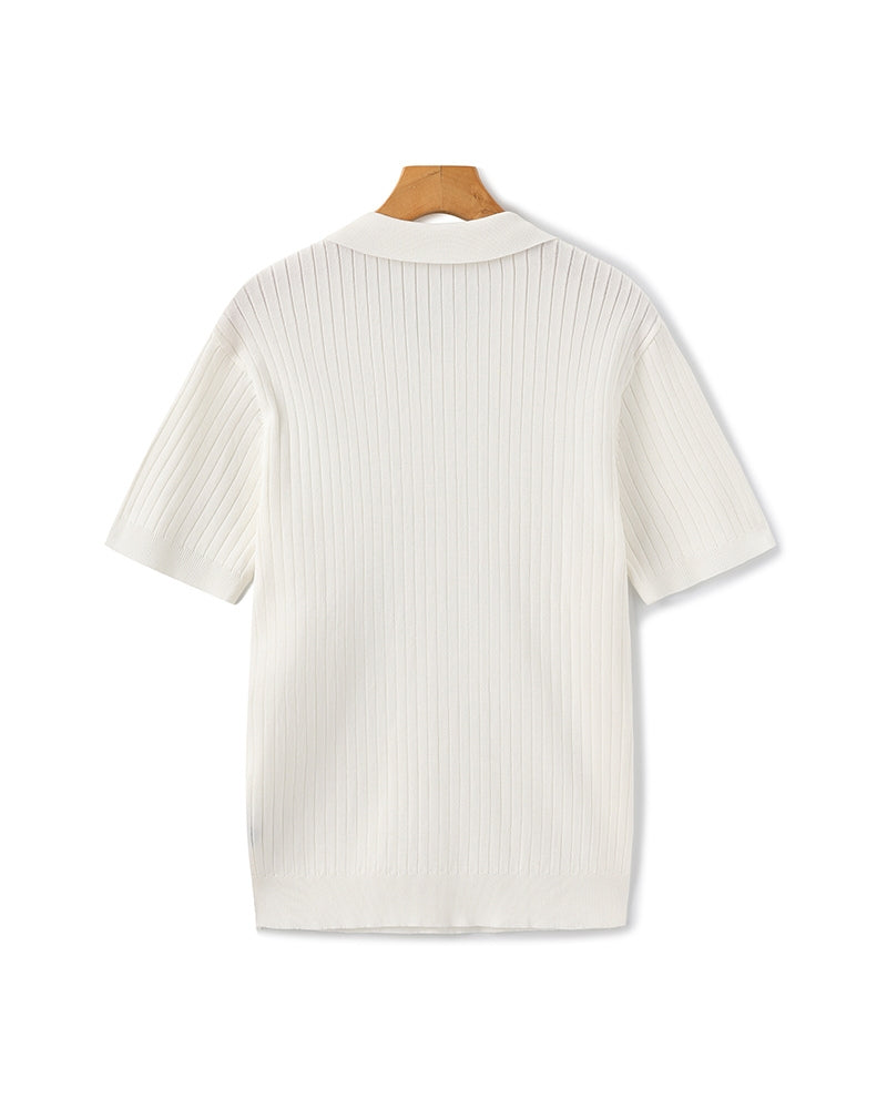 Polo Uomo in Maglia Coste Classica Vestibilità Regular