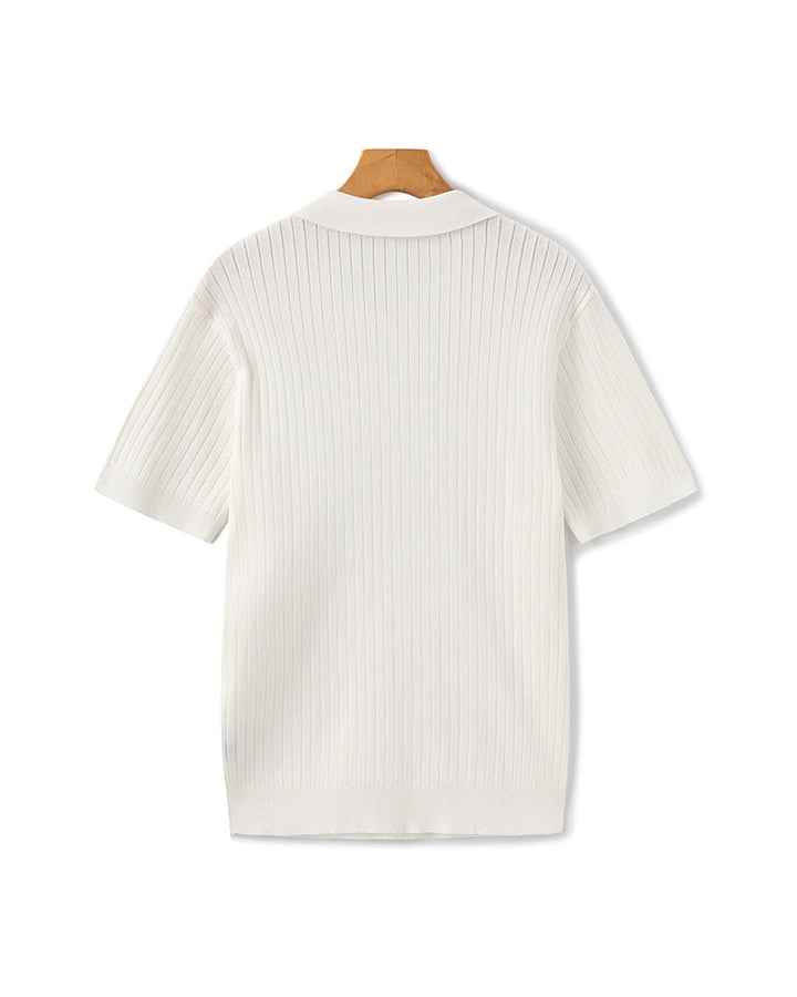 Polo Uomo in Maglia Coste Classica Vestibilità Regular