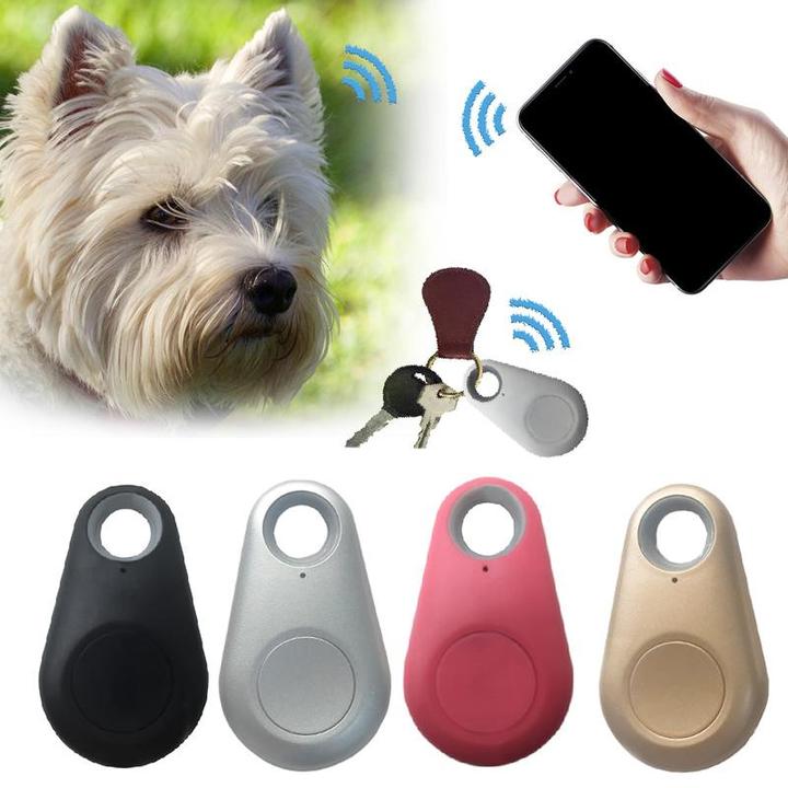 Localizzatore GPS impermeabile Pets Smart Mini con batteria 1