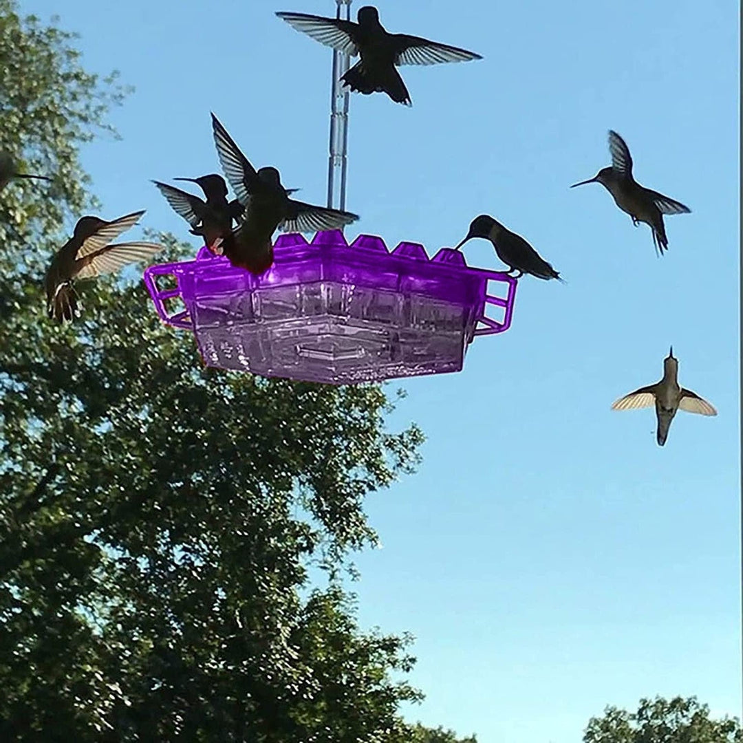 Mangiatoia Colibrì Antiformiche da Esterno con Trespolo Appendibile - Vesarelli