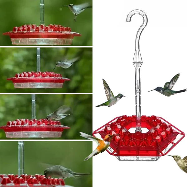 Mangiatoia Colibrì Anti Formiche con Porta Anti Api Unisex - Vesarelli