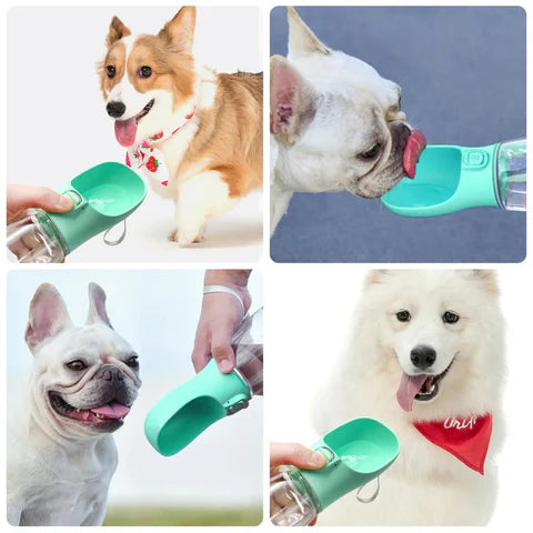 PawSip | Borraccia portatile a prova di perdite per cani, ideale per viaggi e passeggiate all'aperto 4