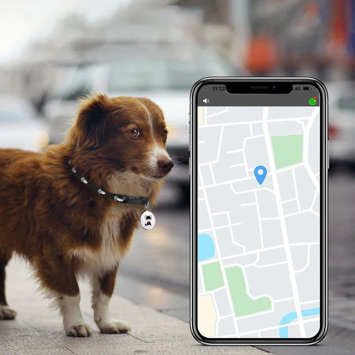 Localizzatore GPS Mini Impermeabile per Cani e Gatti Collare