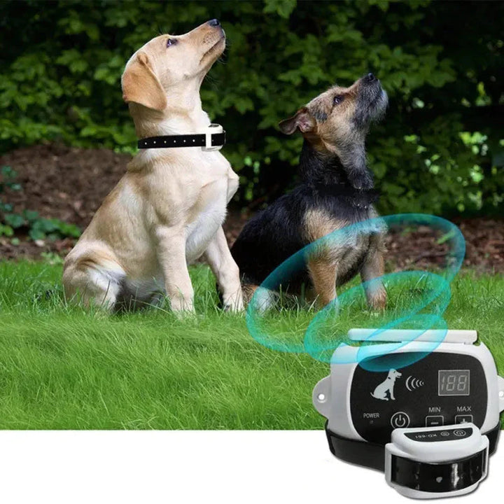 Sistema di addestramento per recinzione per cani wireless ricaricabile IP67 impermeabile 3