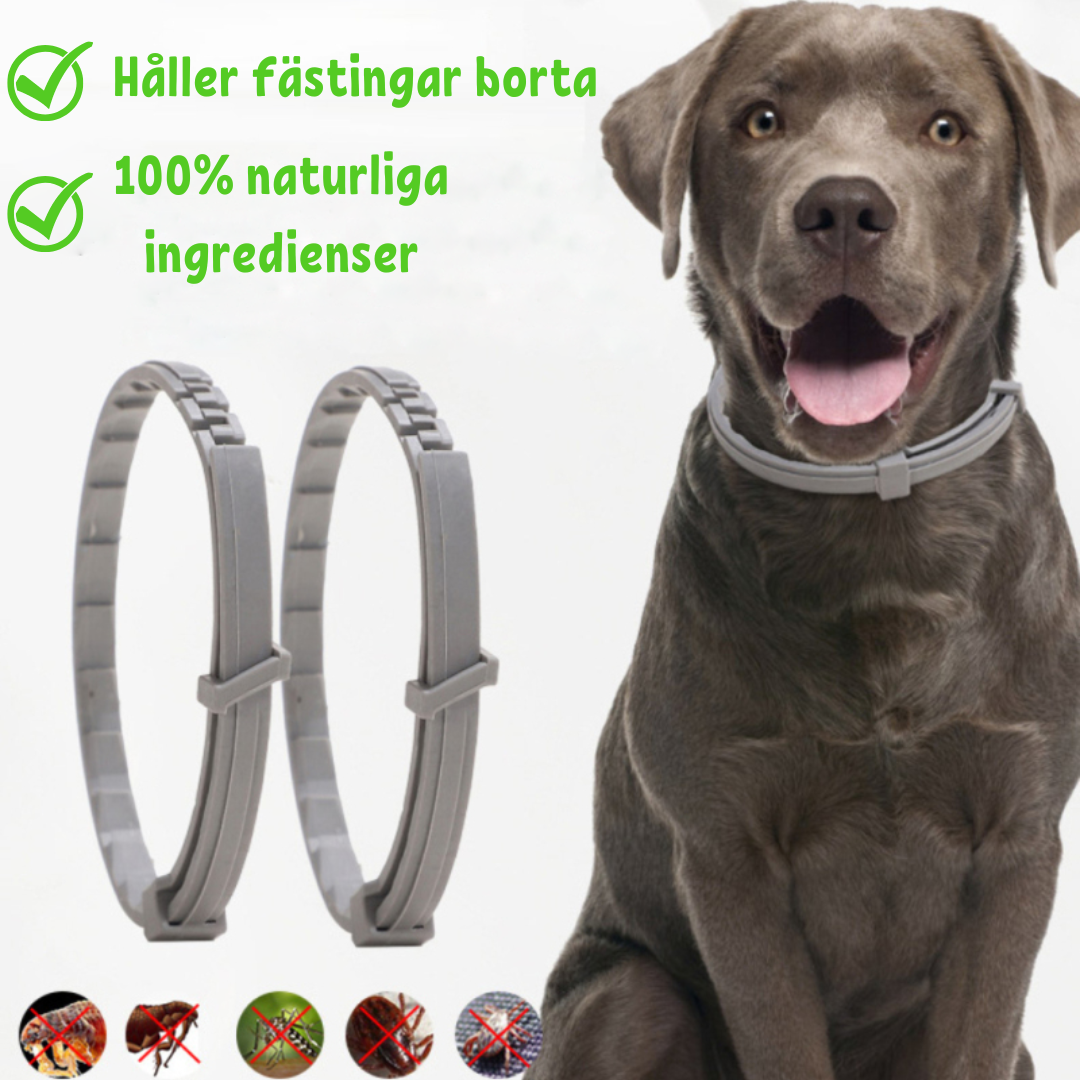 Collare Estivo Cane Multi Protezione Antipulci e Zecche - Vesarelli